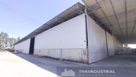 Warehouse / Factory for rent in Nong Prue, Chonburi