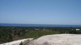 Land for sale in Tamiao, Cebu