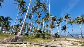 Land for sale in Rizal, Surigao del Norte