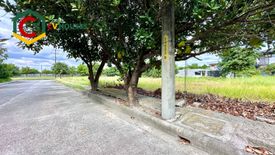 Land for sale in San Isidro, Pampanga