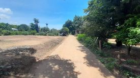 Land for sale in Ban Kluai, Phetchabun