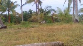 Land for sale in Tubod-Bitoon, Cebu