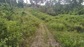 Land for sale in San Isidro, Bohol