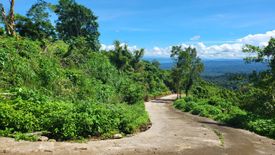 Land for sale in Tinurik, Batangas