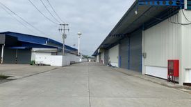 Warehouse / Factory for rent in Tha Sala, Chiang Mai