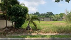 Land for sale in Talamban, Cebu