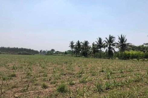 Land for sale in Don Pru, Suphan Buri