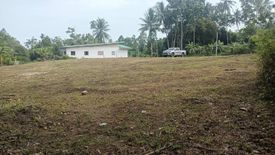 Land for sale in Taling Ngam, Surat Thani