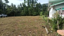 Land for sale in Taling Ngam, Surat Thani