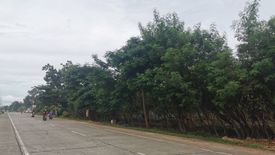 Land for sale in Dao, Bohol