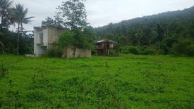 Land for sale in Bonbon, Cebu