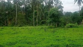 Land for sale in Bonbon, Cebu