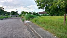 Land for sale in Mactan, Cebu