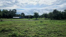 Land for sale in Thung Pi, Chiang Mai