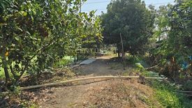 Land for sale in Ban Ko, Samut Sakhon