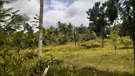 Land for sale in Guimbangco-An, Cebu