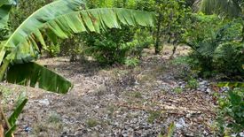 Land for sale in Halang, Cavite