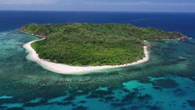 Land for sale in Decalachao, Palawan