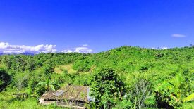 Land for sale in Santa Cruz, Palawan