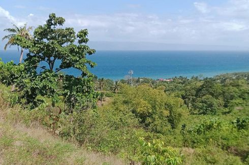 Land for sale in Bantolinao, Negros Oriental