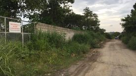 Land for sale in Virgen de los Remedios, Tarlac