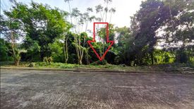Land for sale in Sungay North, Cavite
