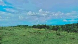 Land for sale in Tabunok, Cebu