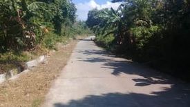 Land for sale in Binuangan, Bataan