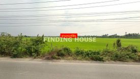 Land for sale in Maha Sawat, Nakhon Pathom