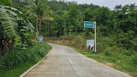 Land for sale in Binabag, Cebu