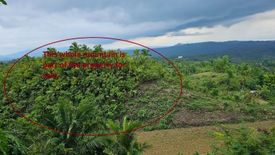 Land for sale in Binabag, Cebu