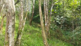 Land for sale in Bentong, Pahang