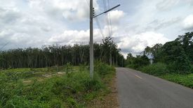 Land for sale in Krasae Bon, Rayong