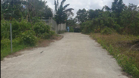 Land for sale in Lalaan I, Cavite
