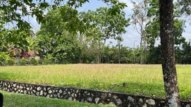 Land for sale in Batu Arang, Selangor