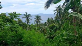 Land for sale in Malimatoc I, Batangas