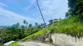 Land for sale in Bo Phut, Surat Thani