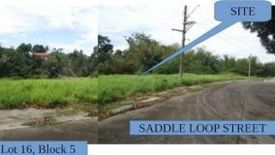 Land for sale in Santiago, Batangas