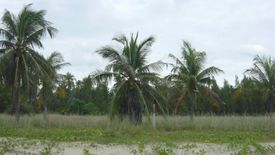 Land for Sale or Rent in Huai Yang, Prachuap Khiri Khan