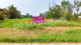 Land for sale in Nok Mueang, Surin