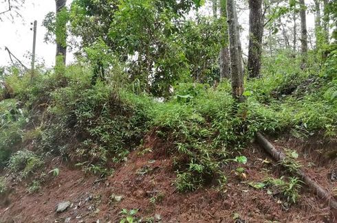 Land for sale in Camp 7, Benguet