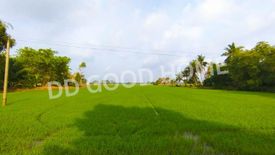 Land for sale in Krachaeng, Phra Nakhon Si Ayutthaya