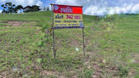 Land for sale in Thung Samo, Phetchabun