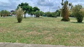 Land for sale in Don Jose, Laguna