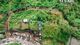 Tanah dijual dengan  di Kintamani, Bali