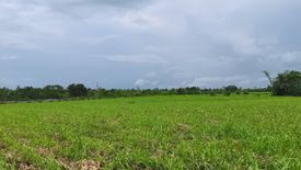 Land for sale in Bagtic, Negros Oriental