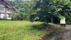 Land for sale in San Gregorio, Batangas