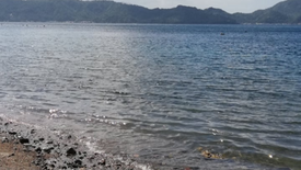 Land for sale in Anilao, Batangas