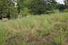 Land for sale in Munting Indan, Batangas