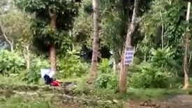 Land for sale in Dao, Bohol